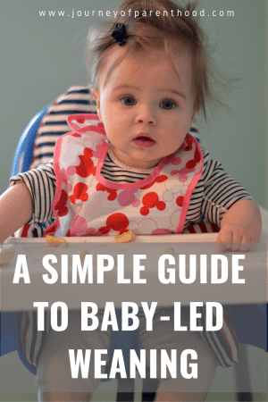 The Best Baby Led Weaning Book: A Simple Guide To Baby Led Weaning