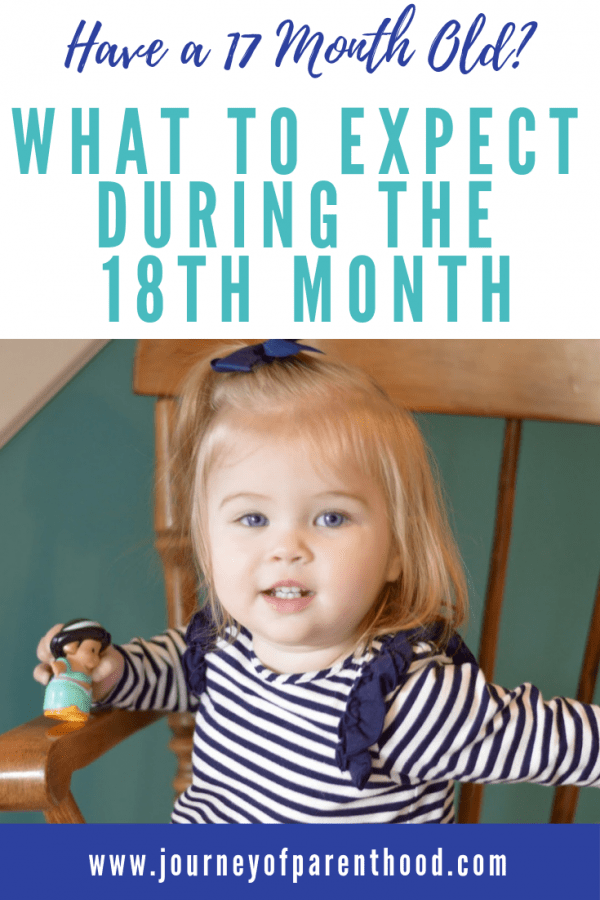 Tess Summary of Month 18 - The Journey of Parenthood...