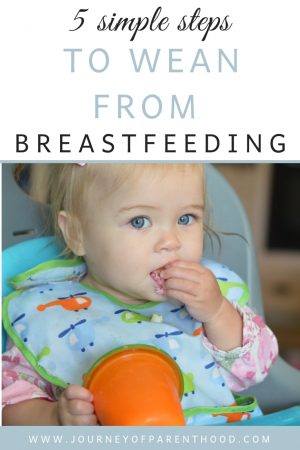 5 Simple Steps To Weaning From Breastfeeding - The Journey Of Parenthood...