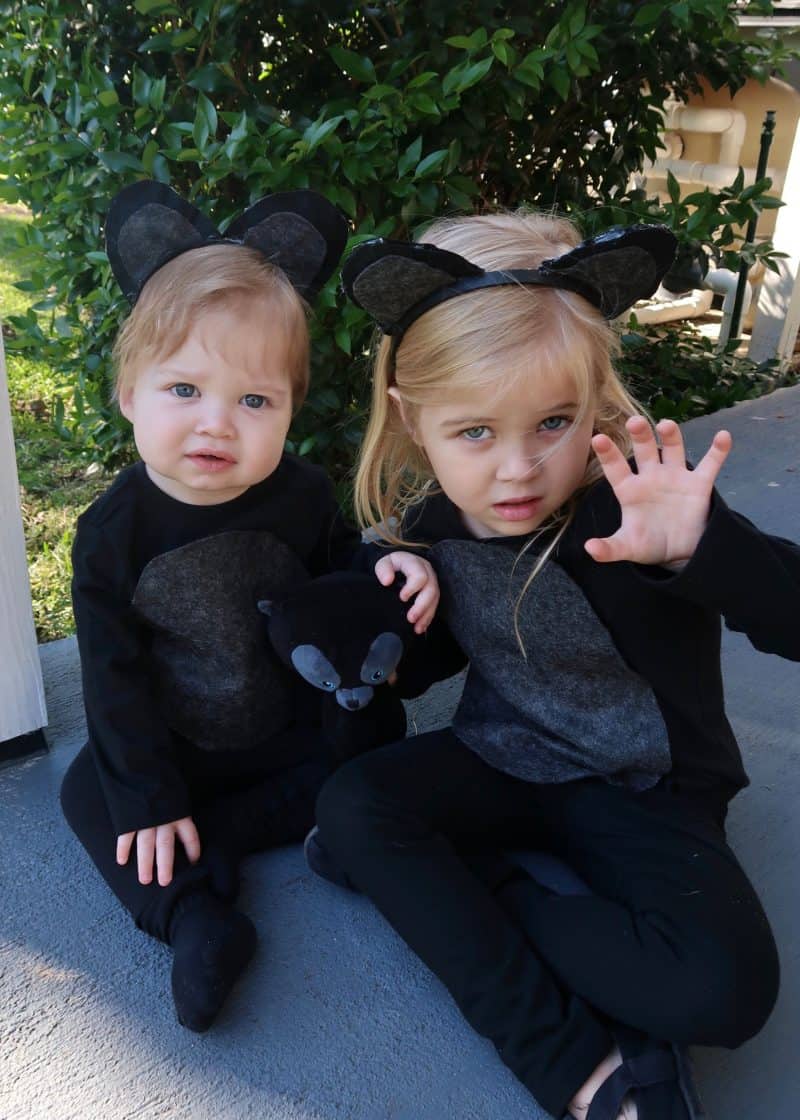 Brave Family Costumes for Halloween