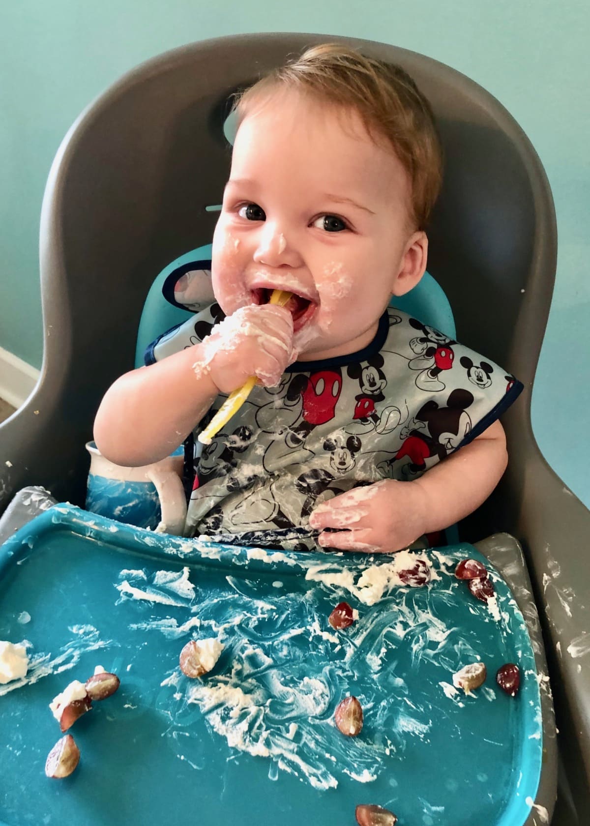 The Best Baby Led Weaning Book: A Simple Guide to Baby Led Weaning