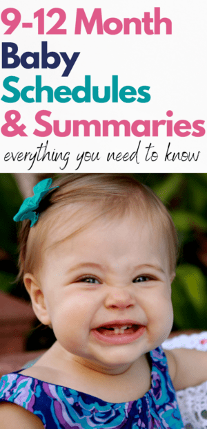 Baby Summaries and Sleep Schedules: 9-12 Months