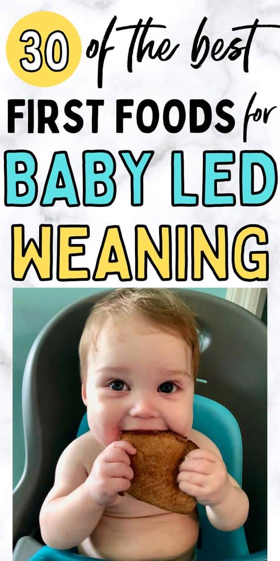 5 Best First Baby-Led Weaning Foods