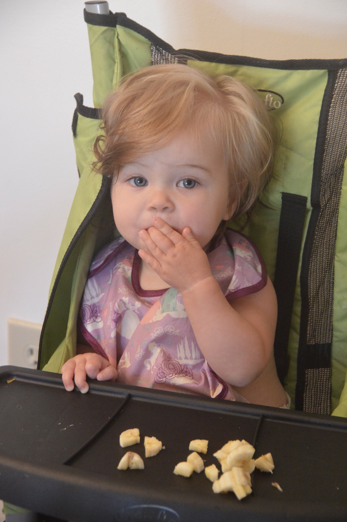 The Best Travel High Chair for Baby and Toddler